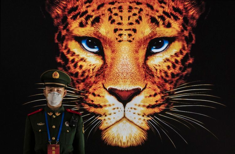 La emergencia viral y el mundo de&nbsp;mañana