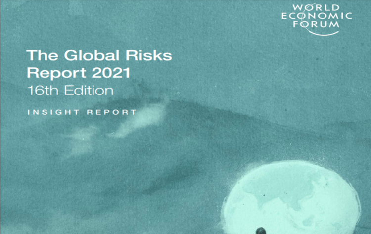 The global risk report&nbsp;2021