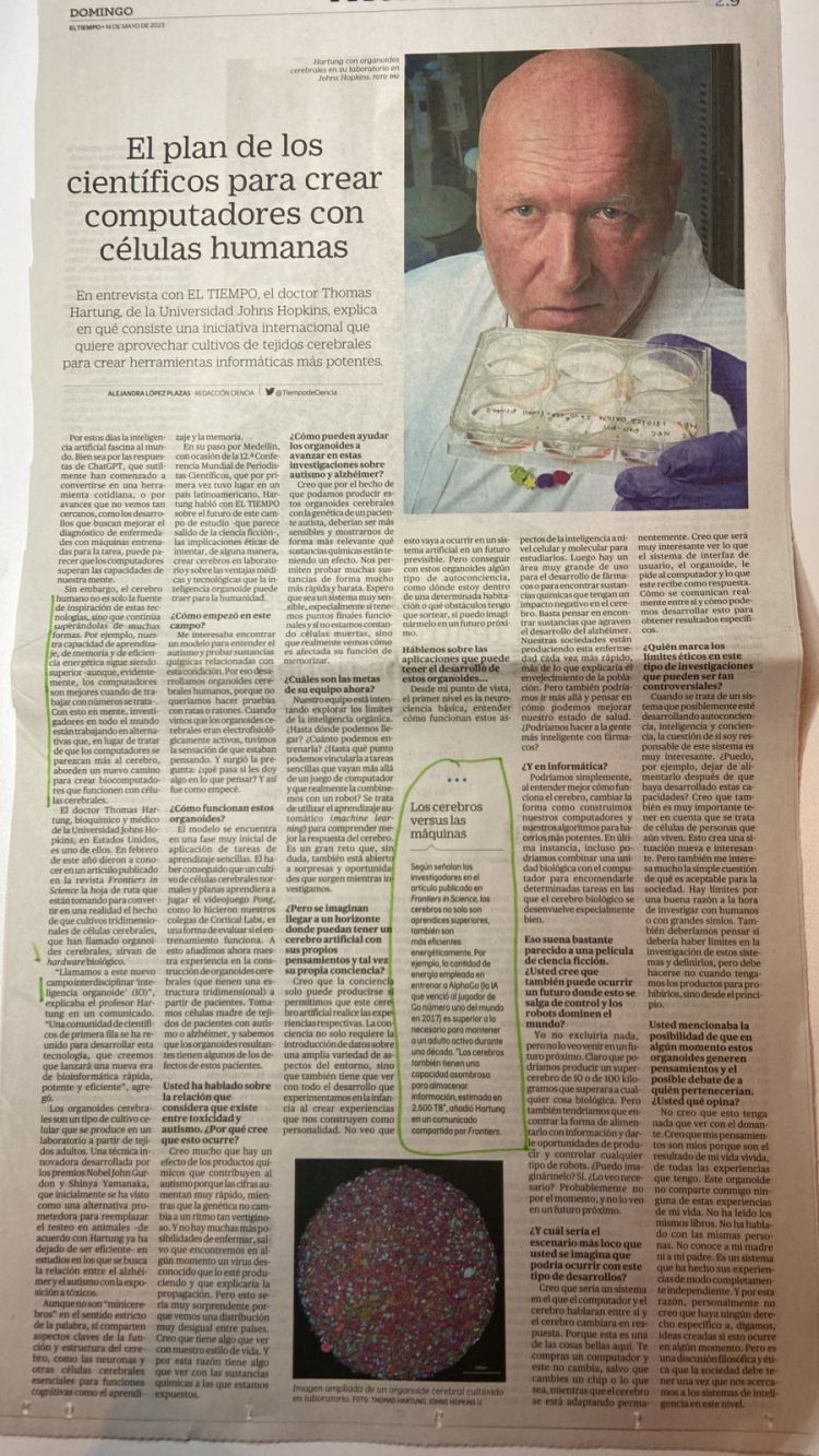 El plan de los científicos para crear computadores con células humanas